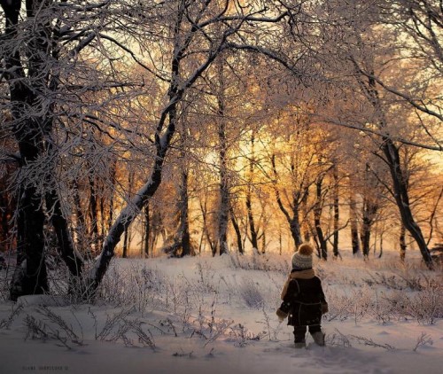 Elena Shumilova * - Page 2 Xx_4614