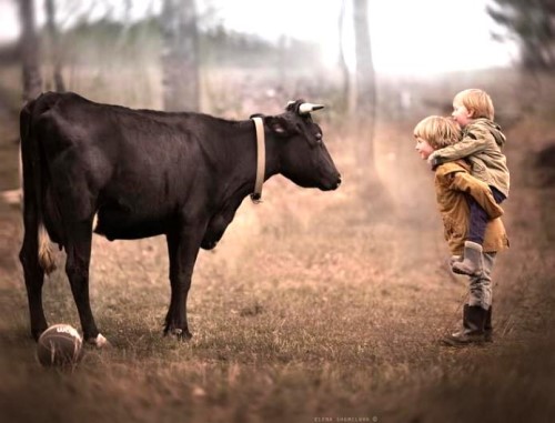 Elena Shumilova * - Page 4 Xx_9010