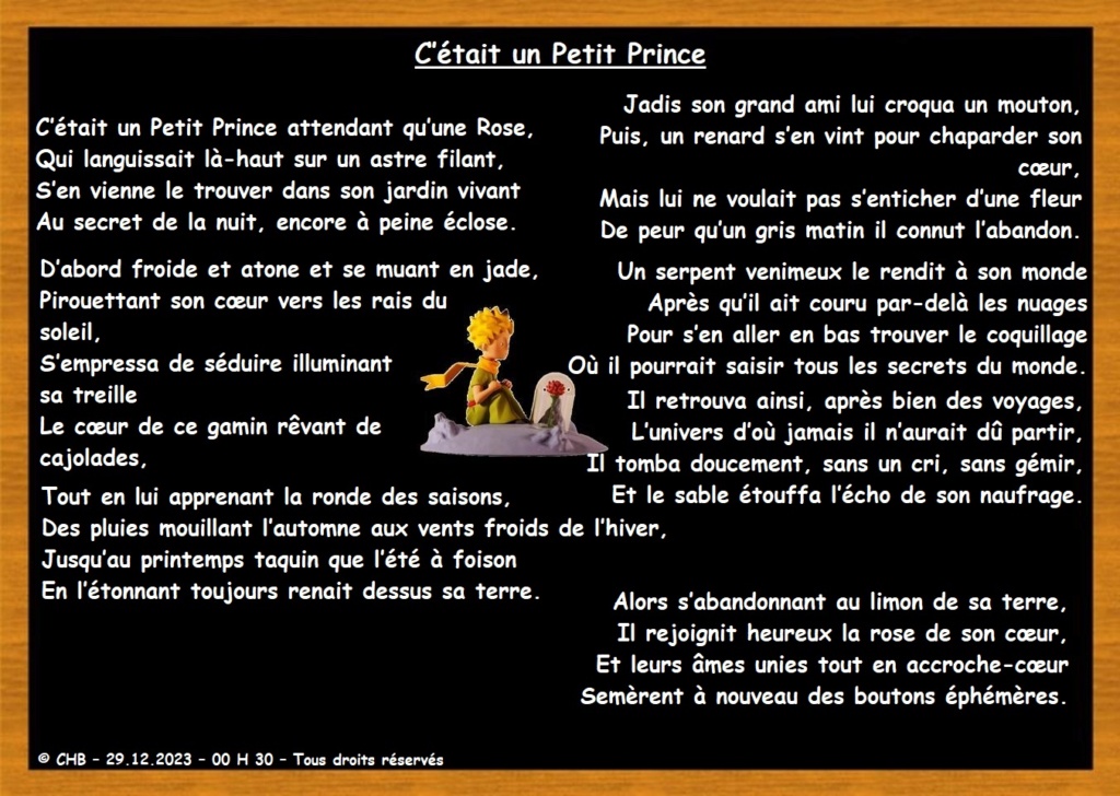 C'était une Petit Prince Image210