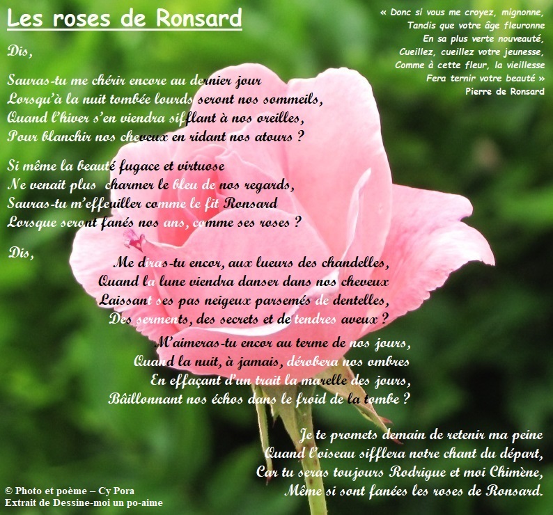 Les roses de Ronsard Les_ro10