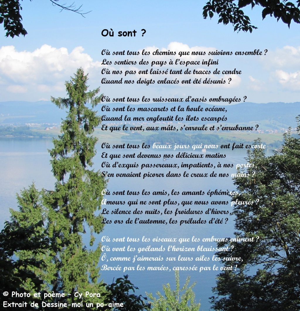 Où sont ? (alexandrins)