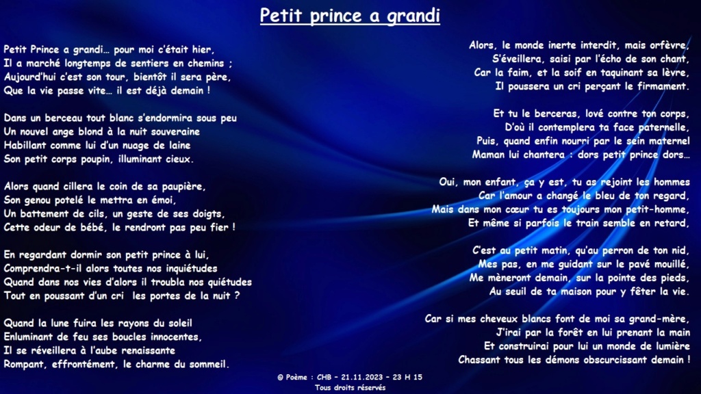 Petit Prince a grandi Petit_15