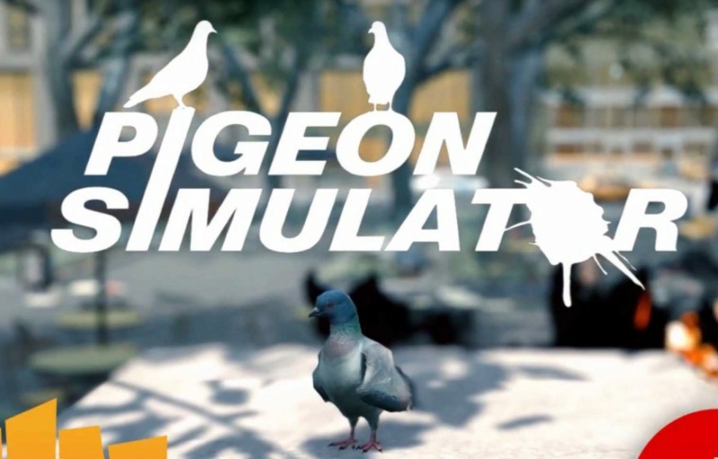 pigeon - Tu es un gros Pigeon !! voici des jeux qui te combleront 3-2-8810