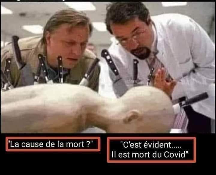 humour - Humour du jour - Page 16 12365910