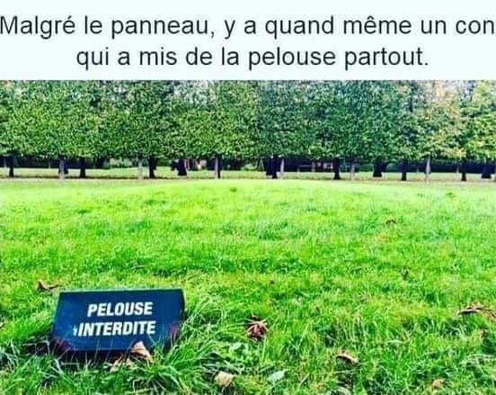 humour - Humour du jour - Page 22 13668210