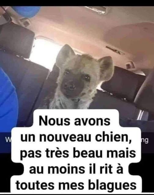 Humour du jour - Page 30 17673810