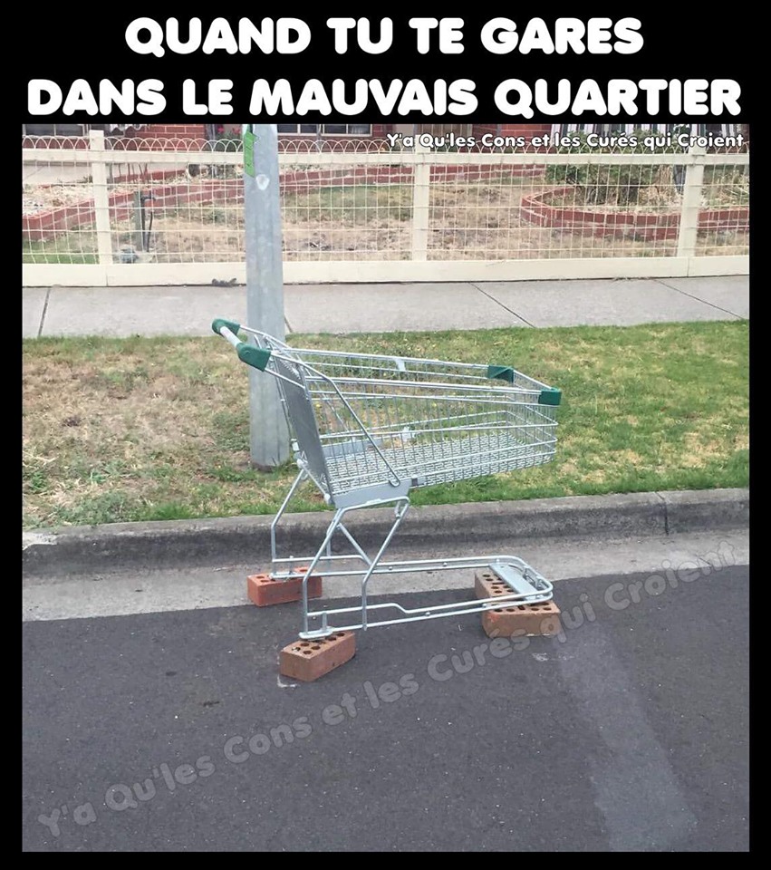 Humour du jour - Page 19 61307310