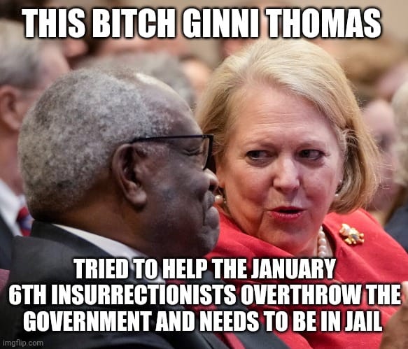 JUSTICE THOMAS WIFE IS TRAITOR TRASH 27700310