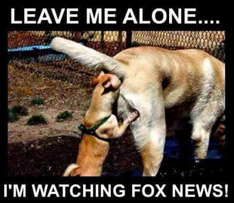 The Making of the Fox News White House Dogfox10
