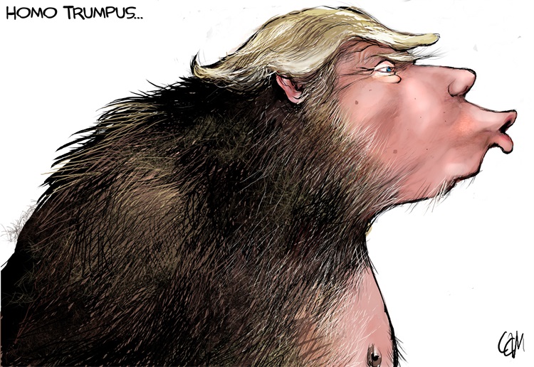 Scientists in So Africa have found two million year old "missing link" between man and apes Trump_17