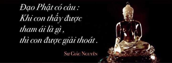 Bài Giảng Của Sư Toại Khanh Thích Giác Nguyên - Page 3 Fb_im111