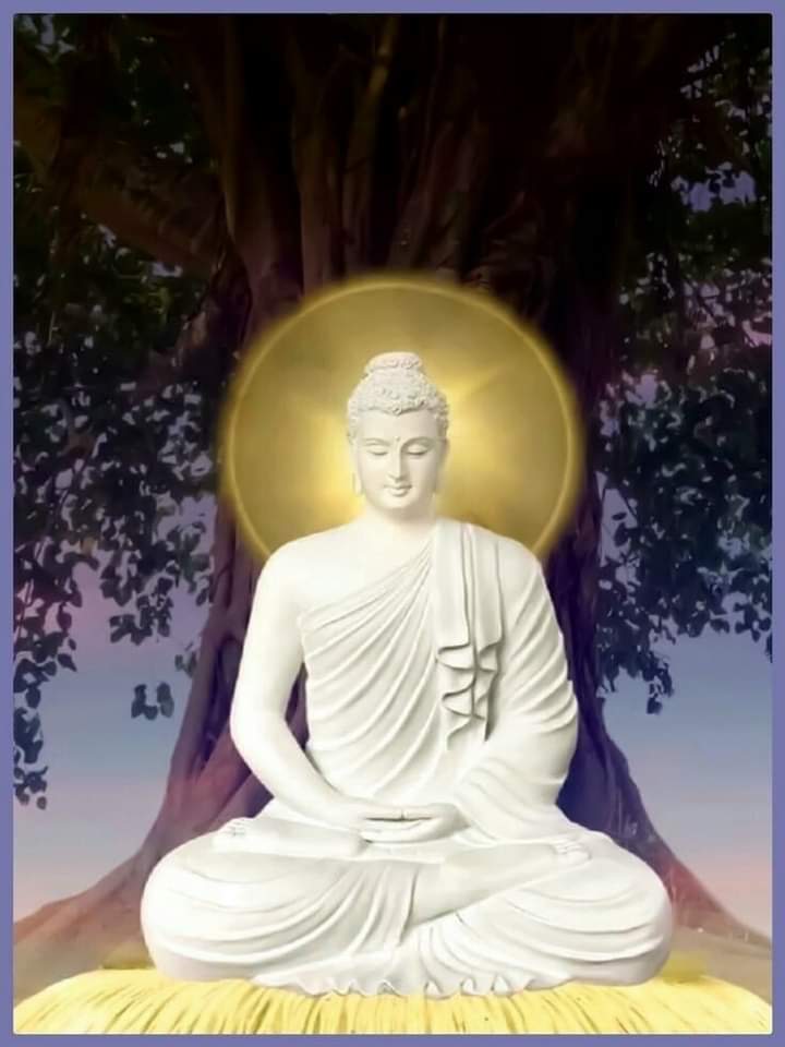 TỪNG NGÀY HỌC - HIỂU (Đường Thơ & Bài Học) Fb_im287