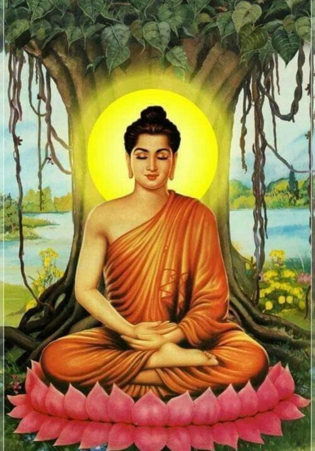 Tiến Trình Tu Học Phật - Thành Phật  Scre1202