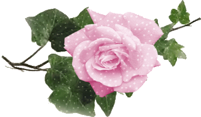 Picture background