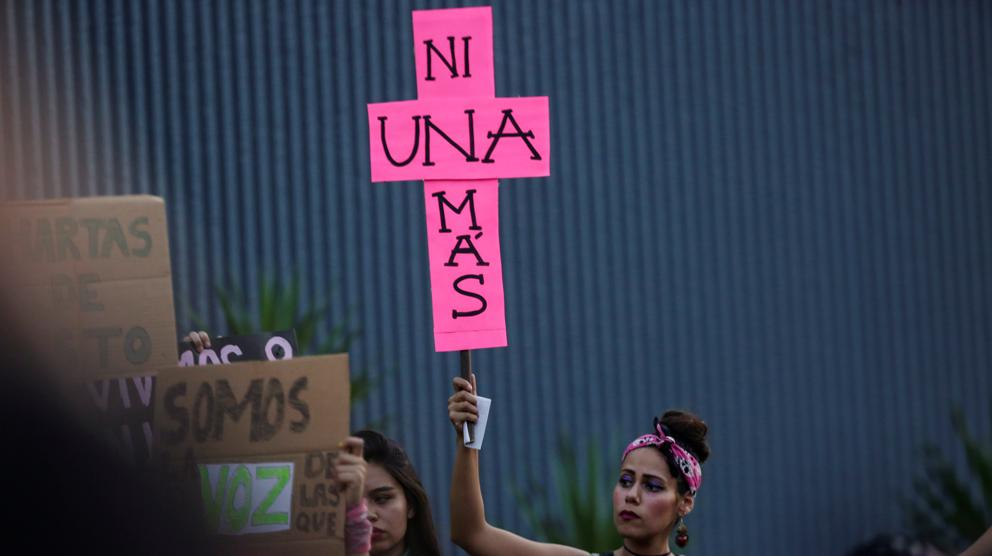 Epidemia feminicida en México _2019010