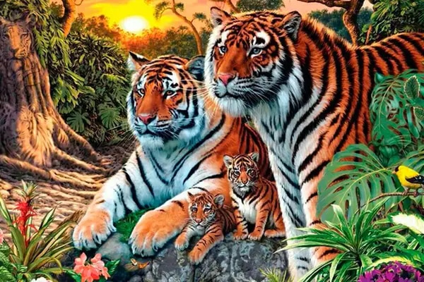  ¿Cuántos tigres hay en la imagen? Khtp7g10