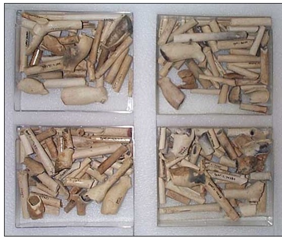 Collecting Clay Pipes Pipes-12