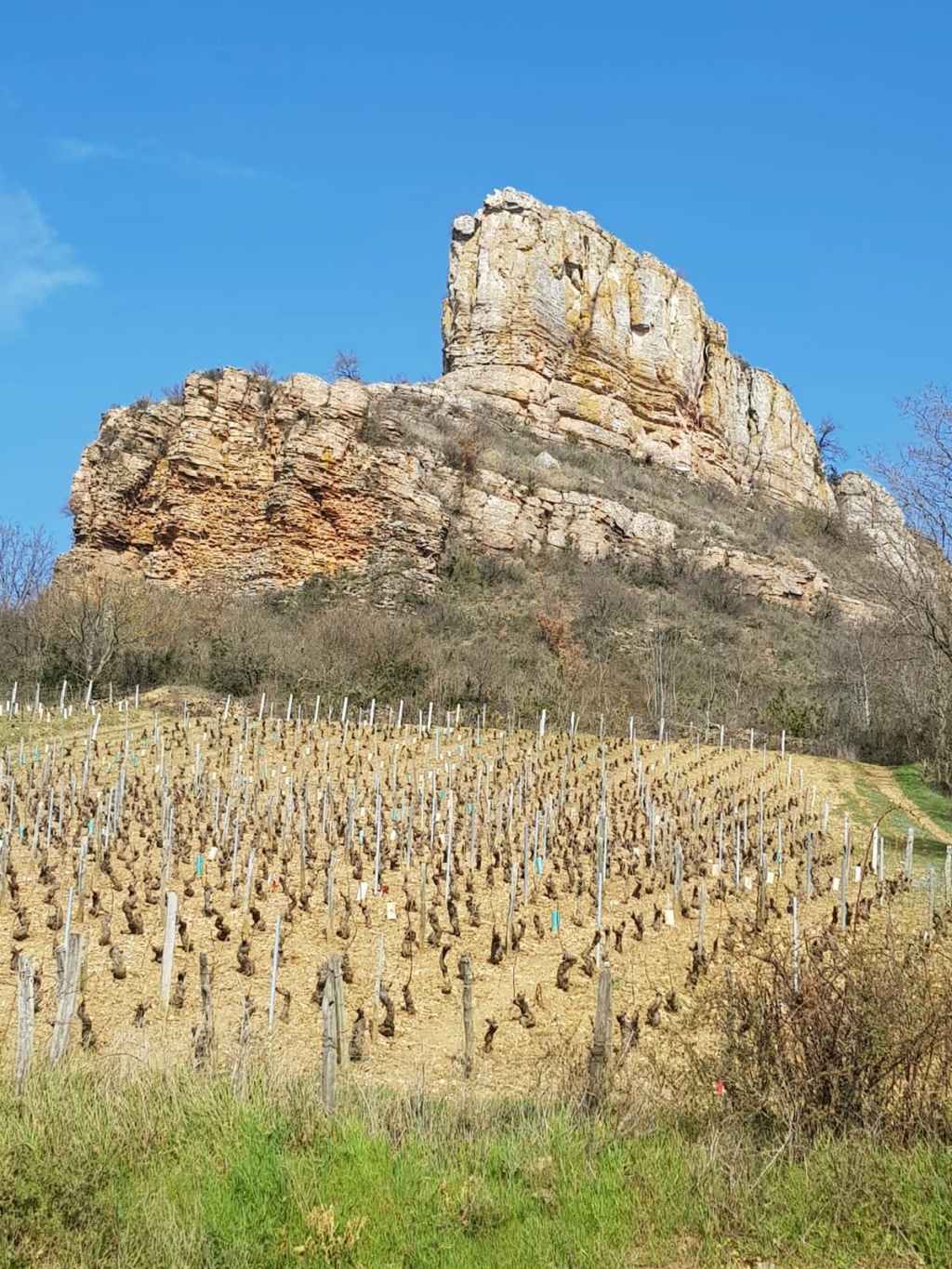 [VISUE] Beaujolais roche Solutré 06/03 - Page 4 Img-2015
