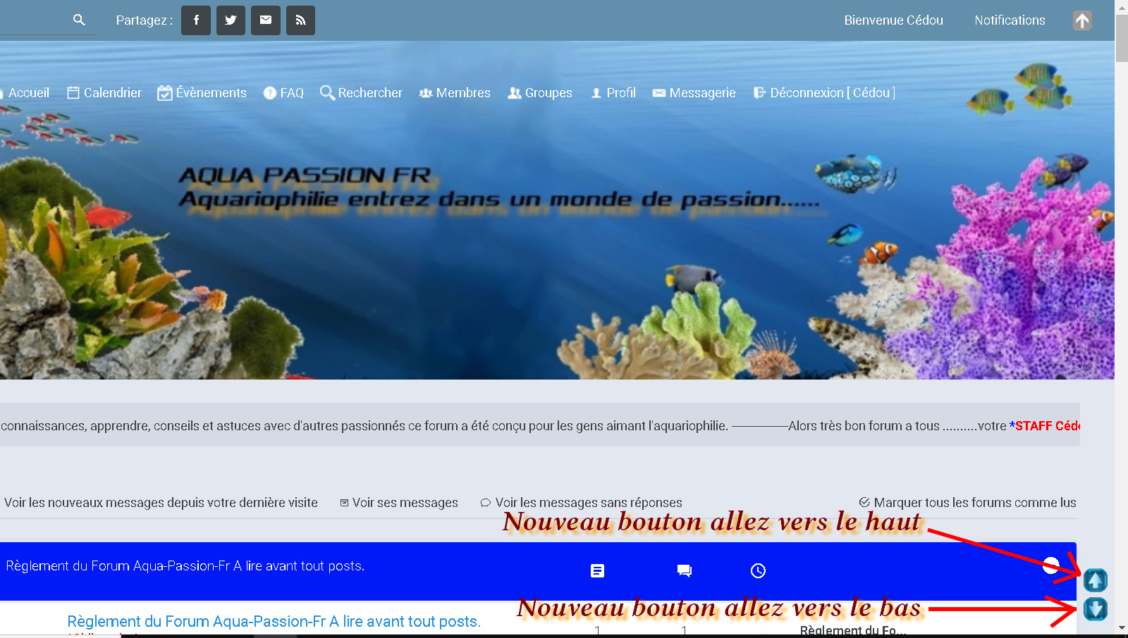 News Bouton sur AQUA PASSION FR Bouton10