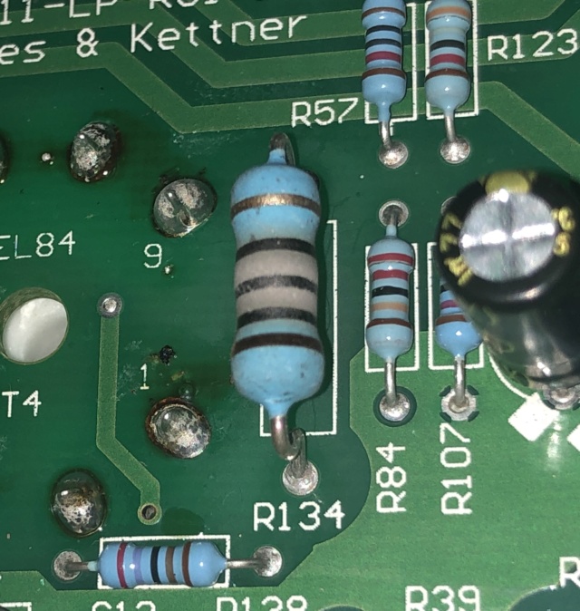 Tubemeister 36, TSC and resistor blown Img_9110