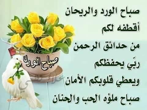 احلى صباح لعائلة منتدى طه حسين صفحة 3