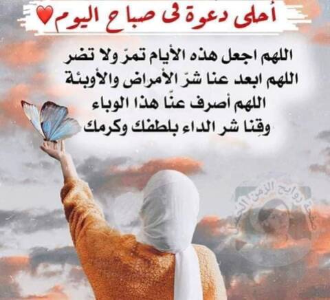 احلى صباح لعائلة منتدى طه حسين صفحة 3