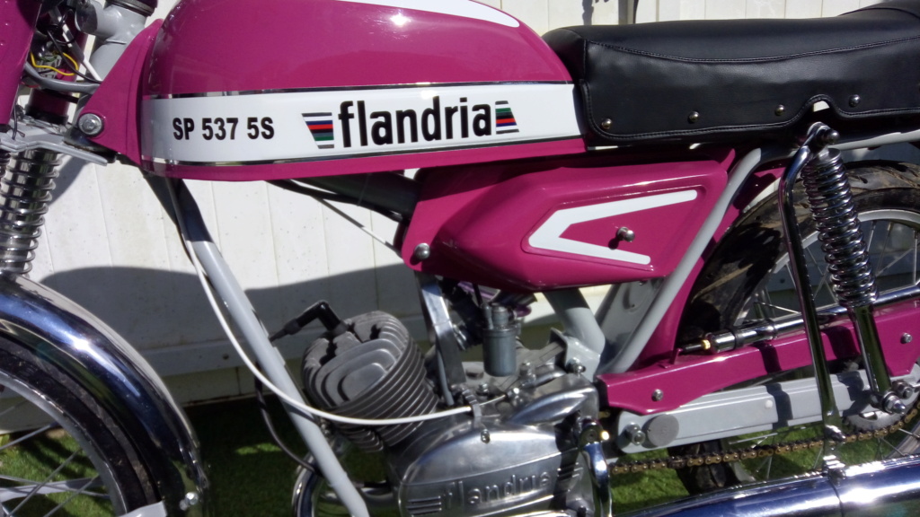 Restauration Flandria sp977s P_202083