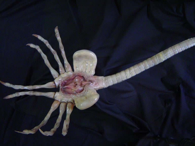 Alien Franchise "FACE HUGGER" prop (animated if possible) needed for movie please Alien-11