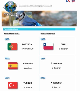 Mondial 2020 à Matosinhos - Portugal [24-26 janvier 2020] Procha12