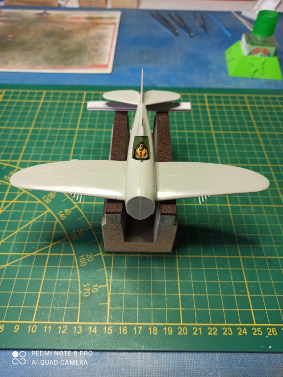  [ Hasegawa Hobby Kits ] Républic P-47 Thunderbolt D Razor Back...FINI. 3246