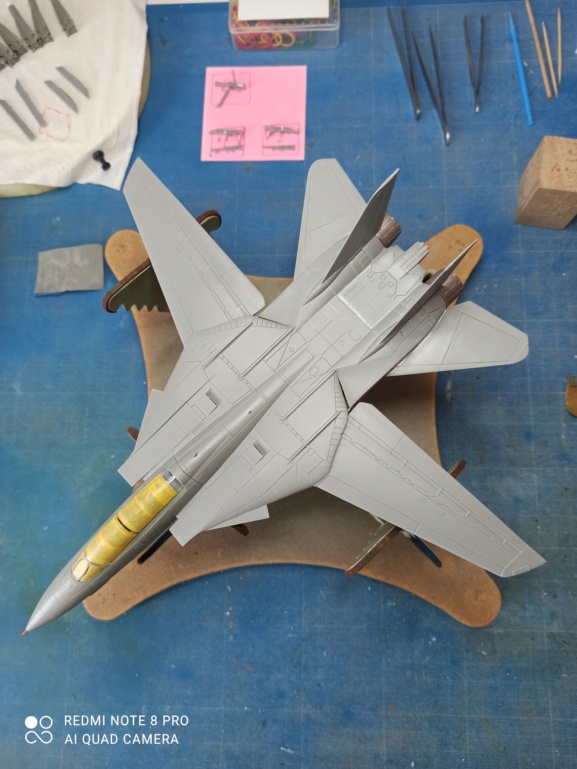  [Revell] MAVERICK'S F-14D TOMCAT. FINI 4233