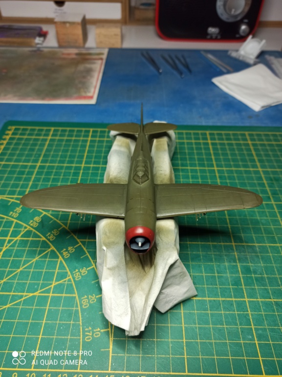  [ Hasegawa Hobby Kits ] Républic P-47 Thunderbolt D Razor Back...FINI. 4443