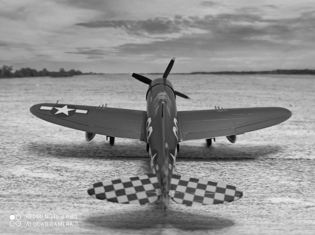  [ Hasegawa Hobby Kits ] Républic P-47 Thunderbolt D Razor Back...FINI. Sans_365
