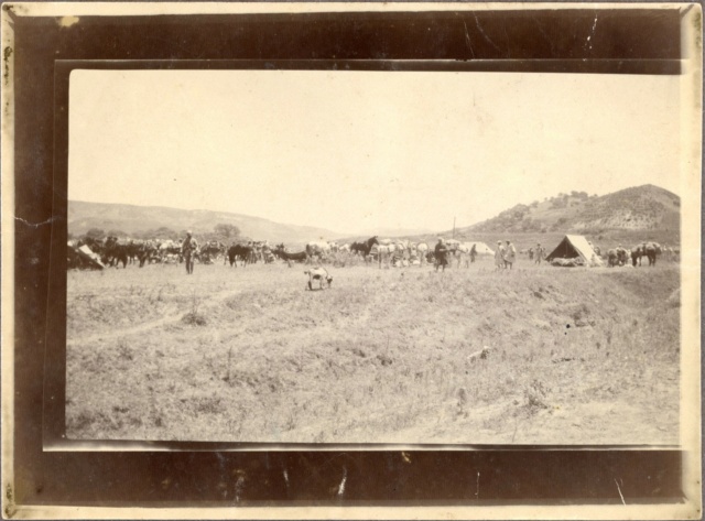   9e GACA Groupe d'artillerie de campagne d'Afrique 19191916