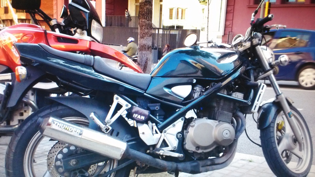 Venta de Bandit para proyecto Bandid10