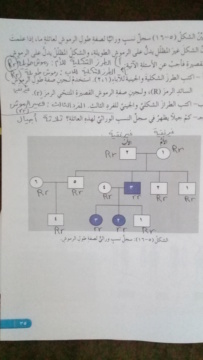 ما تم أخذه اليوم عبر حصة زوم Img-2173