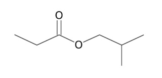 (UEPG - 2016.2) Ligação de Hidrogênio Ester11