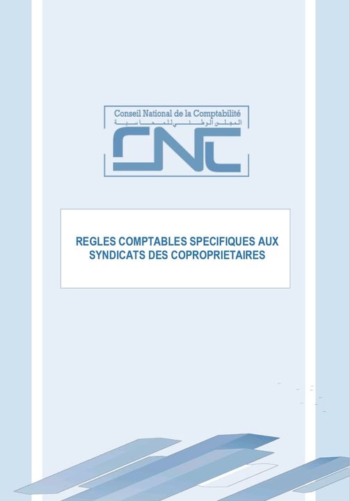 REGLES COMPTABLES SPECIFIQUES AUX SYNDICATS DES COPROPRIETAIRES Cnc10