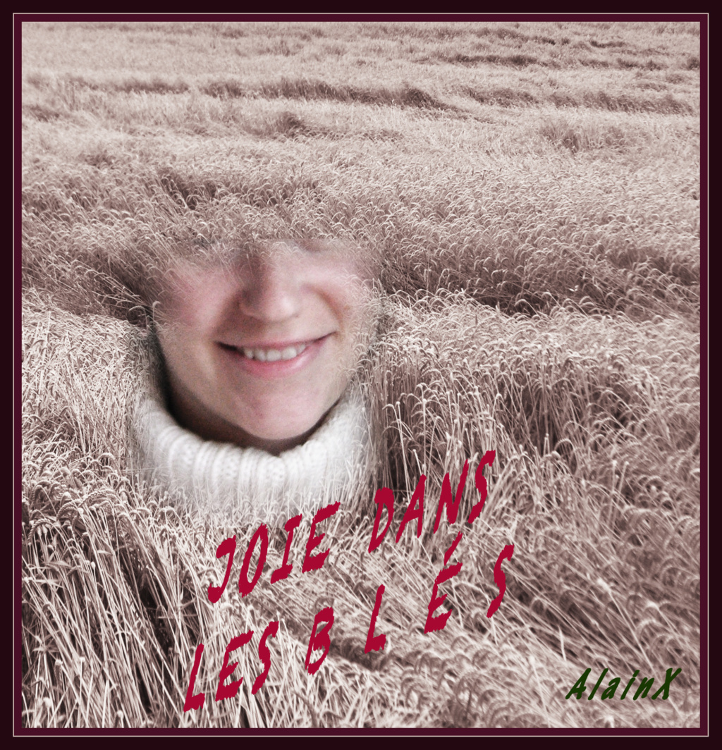 c. Le blé en sourire Joie_d11