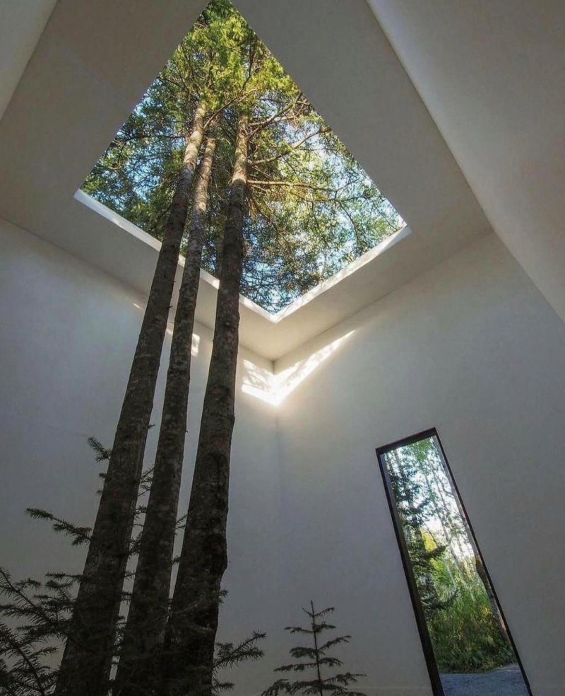 Interior nature installations или деревья как часть интерьера Photo426