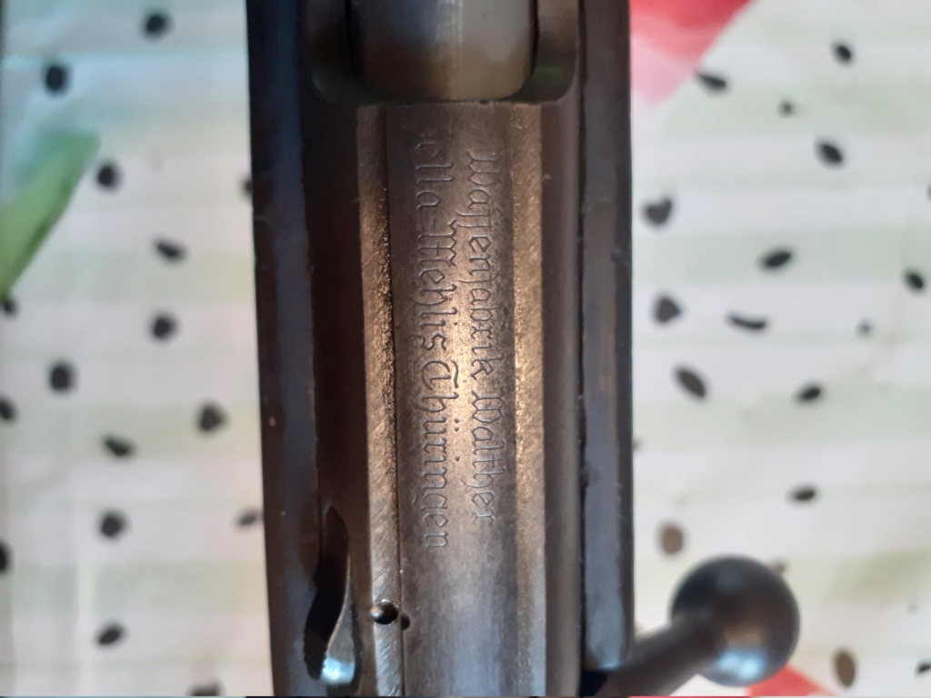 Mauser 22lr  20220917