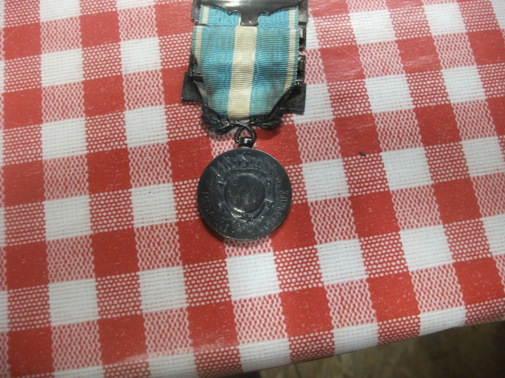 en quantité de l'allemand des medailles et insignes et beau brassard FFI Dscf6946