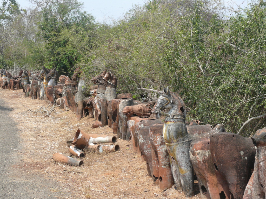 Deux semaines au Tamil Nadu en transports en commun en février-mars 2019 P1120511