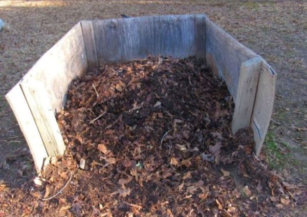 1 - Square Foot Garden #2 and Compost Compos10