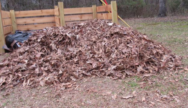 Compost fire? Leaves10