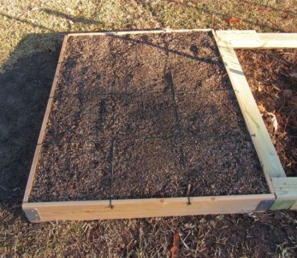 3 - Square Foot Garden #2 and Compost Sfg213