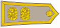 Colonel-Major