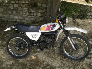 DTMX 125cc Membres / Mod. 1977 01052010