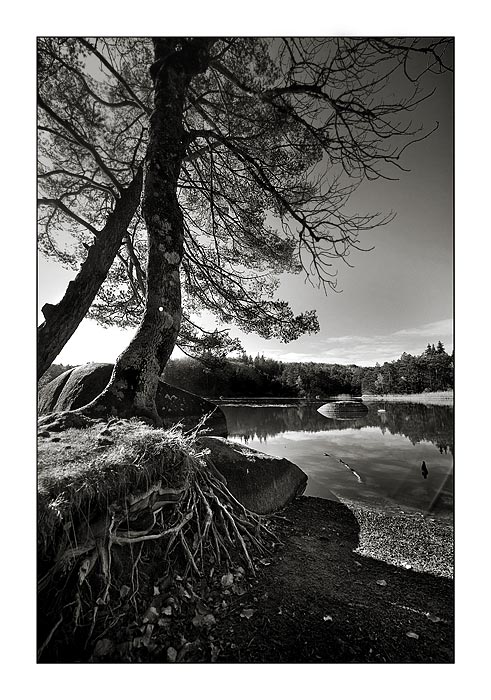 Lac du Merle _img8612