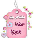 العضوة المميزة العضوة المميزة